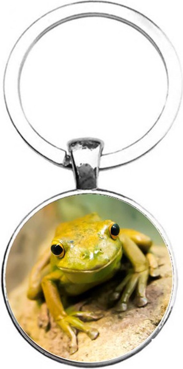 Sleutelhanger Glas - Kikker