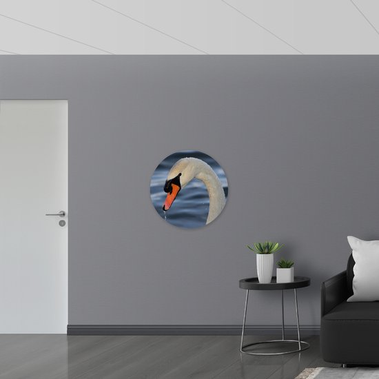 WallClassics - Cercle mural en aluminium Dibond - Cygne mouillé dans l' Water - 70x70 cm (avec système de suspension)