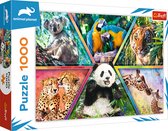Trefl Puzzel Animal Planet Kingdom 1000 stukjes