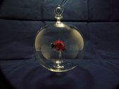 Glasdecoratie - hanger - 10 cm rond - glasbol - mondgeblazen - lieveheersbeestje