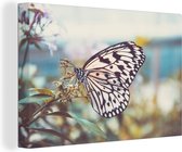 Tableau Toile Papillon - Fleurs - Printemps - 60x40 cm - Décoration murale