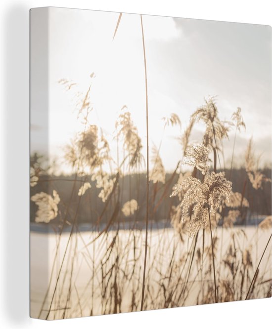 Tableau sur toile Water - Herbe de la Pampa - Plantes - 20x20 cm - Décoration murale