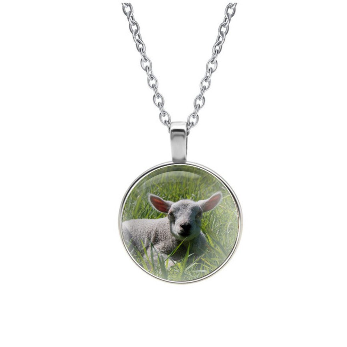 Ketting Glas - Schaap