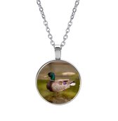 Collier Verre - Canard