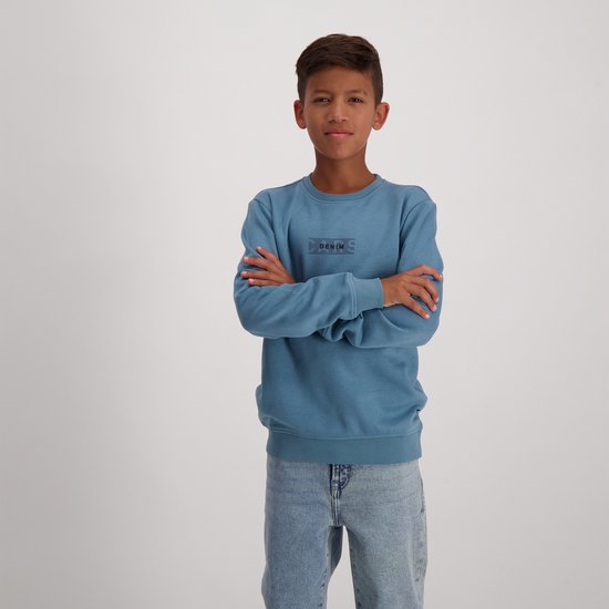 Cars Jeans Sweater Rounder Jr. - Heren - Grey Blue - (maat:
