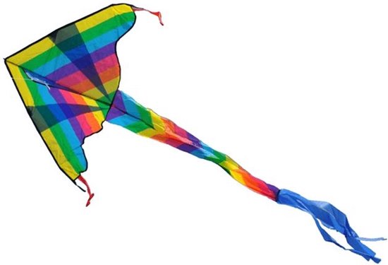Vlieger dragon kite Rainbow | bol