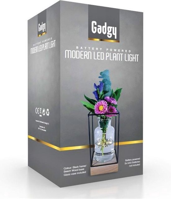 Gadgy Vaas met LED Verlichting - Vaaslamp - Decoratie Woonkamer Tafel - Glazen Vaas met Lamp - Hydroponie - Vase - Tafellamp - Ø11CM - Cadeau voor Vrouw - Moederdag Cadeautje - Gadgy