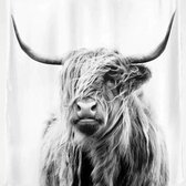 Douchegordijn Schotse Hooglander 150x180 cm| Gordijn | Bad | Douchegordijn