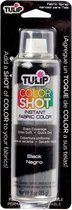 Tulip ColorShot spray de couleur instantanée pour tissus Noir