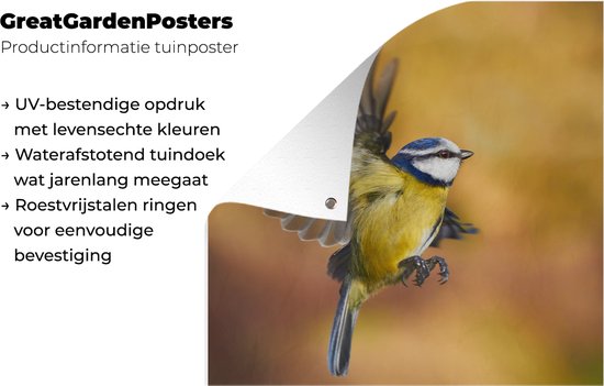 Affiche de jardin Mésange en volant 100x100 cm - Toile de jardin / Toile d'extérieur / Peintures d'extérieur (décoration de jardin)