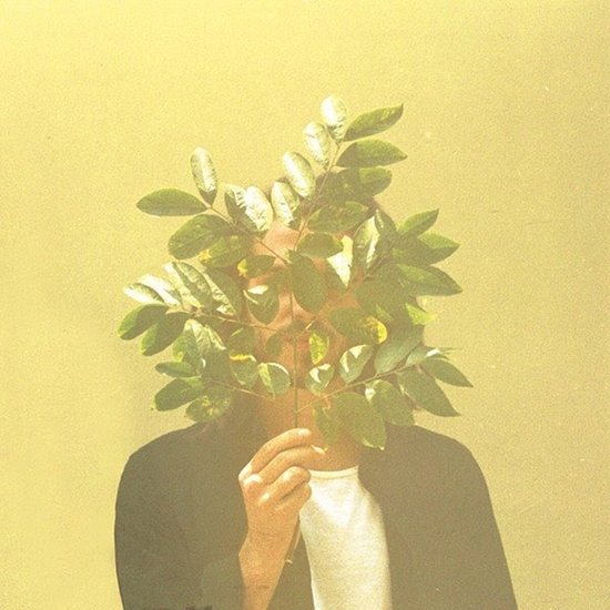 Foto: French kiwi juice 2lp lp 