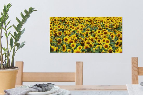 Tableau sur toile Tournesol - Fleurs - Nature - 40x20 cm - Décoration murale