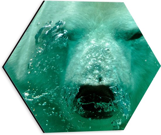 WallClassics - Dibond Hexagon - Ijsbeer onder Water - 30x26.1 cm Foto op Hexagon (Met Ophangsysteem)