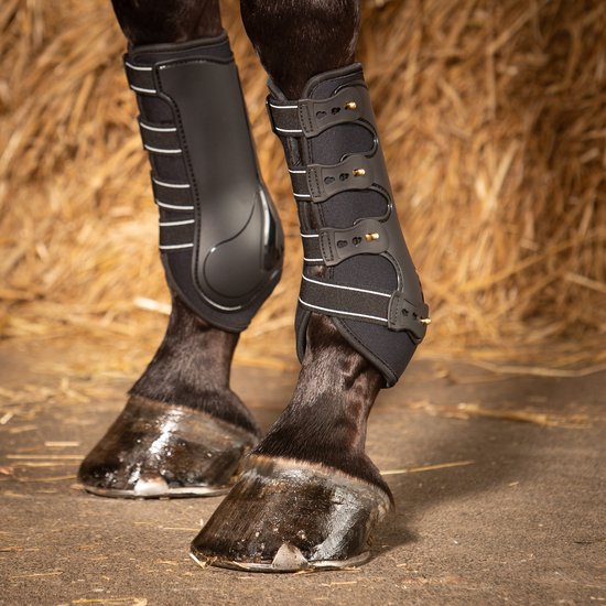 Zwarte peesbeschermers met witte accenten en gouden gespen, gedragen op een paardenbeen.