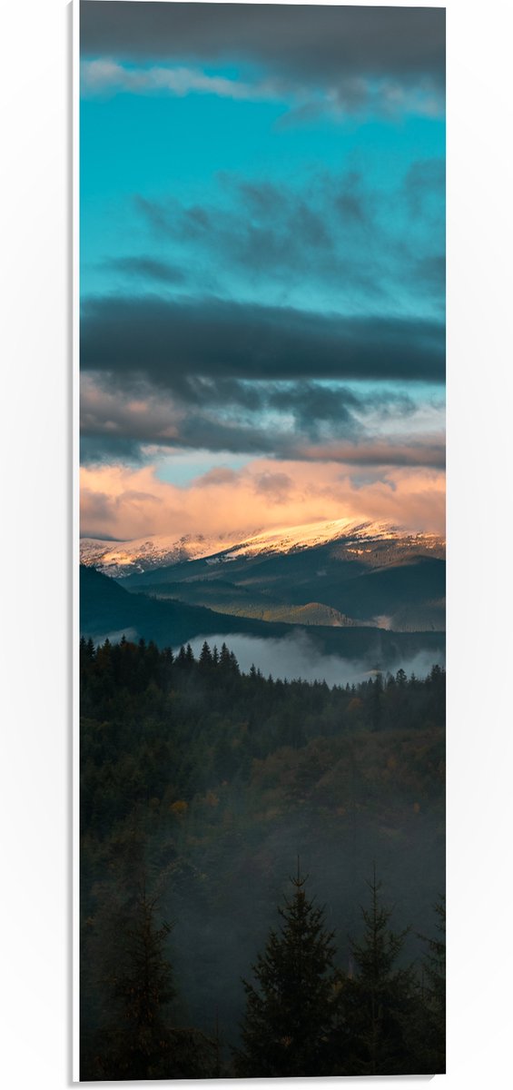 PVC Schuimplaat - Bos aan de Rand van Berglandschap onder Sluierbewolking - 20x60 cm Foto op PVC Schuimplaat (Met Ophangsysteem)