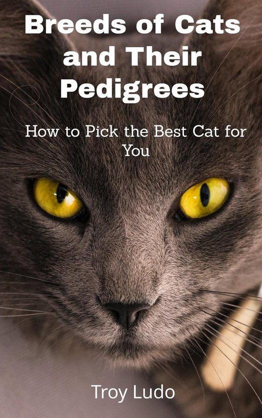 Breeds of Cats and Their Pedigrees How to Pick the Best Cat for You