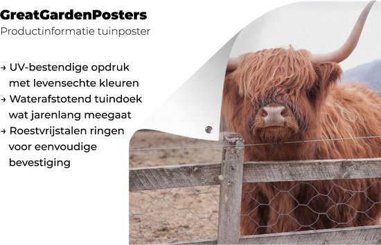 Affiche de jardin - Toile de jardin - Posters de jardin extérieur - Highlander écossais - Herbe - Clôture - 120x90 cm - Jardin