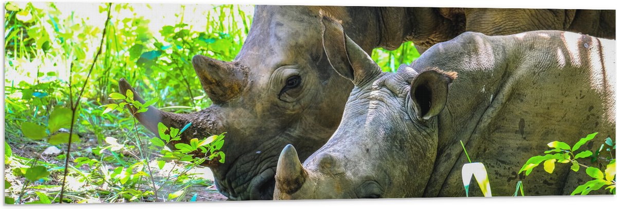 Vlag - Neushoorn met Baby liggend tussen Groene Smalle Planten - 120x40 cm Foto op Polyester Vlag