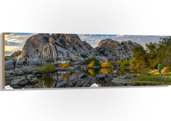 Hout - Rotsen aan het Water bij Joshua Tree National Park overdag - 150x50 cm - 9 mm dik - Foto op Hout (Met Ophangsysteem)