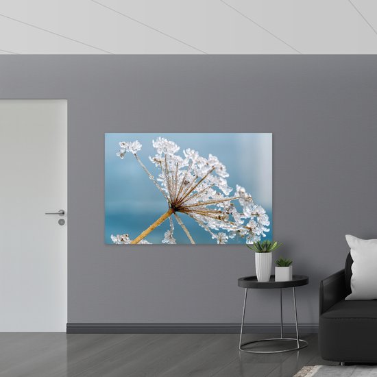 WallClassics - Poster brillant – Fleur d'hiver congelée – 150 x 100 cm Photo sur papier poster avec finition brillante