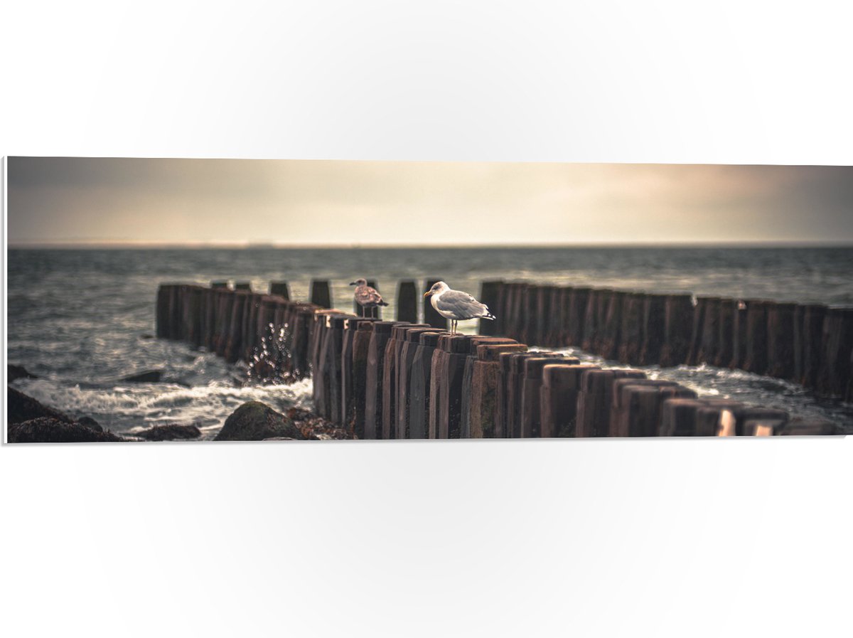 PVC Schuimplaat - Meeuwen op Houten Palen bij de Zee - 90x30 cm Foto op PVC Schuimplaat (M