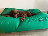 Coussin Dog's Companion Dog hydrofuge et anti-salissure - L - 115 x 85 cm - Vert printemps
