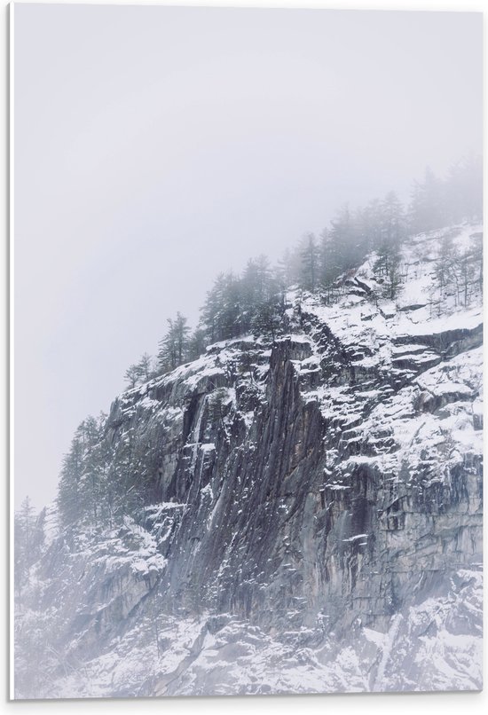 WallClassics - PVC Schuimplaat - Besneeuwde Bergen in de Mist - 40x60 cm Foto op PVC Schuimplaat (Met Ophangsysteem)