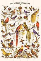 IXXI Les Oiseaux Etrangers - Wanddecoratie - 180 x 120 cm