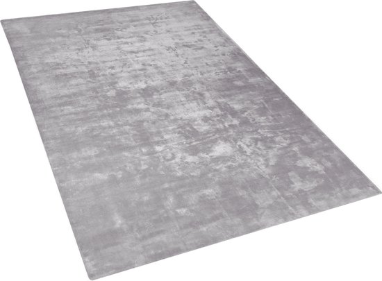GESI II - Laagpolig vloerkleed - Grijs - 200 x 300 cm - Viscose