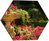 WallClassics - Dibond Hexagon - Felroze Bloemen uit Fontein - 40x34.8 cm Foto op Hexagon (Met Ophangsysteem)