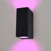 Ledvion Smart Wandlamp Buiten - Cube - Zwart - 4.9W - RGB+CCT