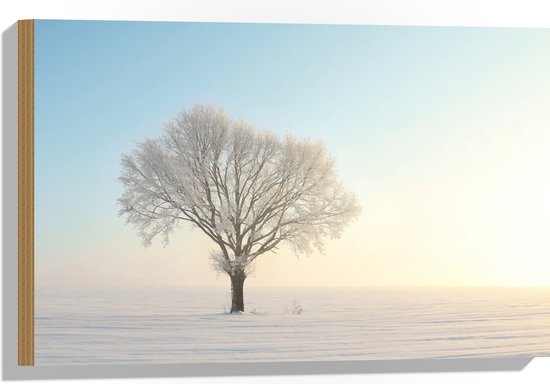 Hout - Enkele Boom in de Winter met Bevroren Takken en Besneeuwde Omgeving - 60x40 cm - 9 mm dik - Foto op Hout (Met Ophangsysteem)