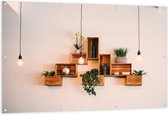 Tuinposter – Trio Lampen voor Kistjes met Planten aan de Muur - 150x100 cm Foto op Tuinposter (wanddecoratie voor buiten en binnen)