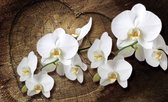 Fotobehang - Vlies Behang - Orchideeën op een Houten Boomstam - Bloemen - 152,5 x 104 cm