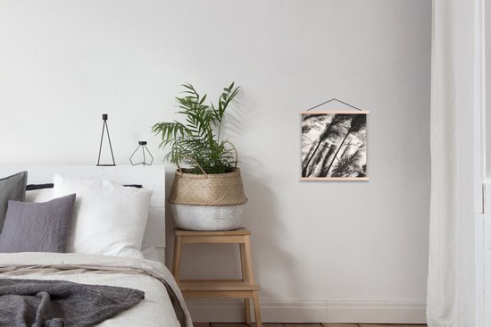 Porte-affiche avec affiche - Affiche scolaire - Herbe de la pampa - Zwart - Wit - Plante - 40x40 cm - Lattes vierges