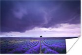 Wolken boven lavendelvelden Poster 180x120 cm - Foto print op Poster (wanddecoratie woonkamer / slaapkamer) XXL / Groot formaat!