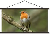 Posterhanger incl. Poster 90x45 cm - Schoolplaat - Vogel - Roodborstje - Tak - Planten - Textielposter - Zwarte latten