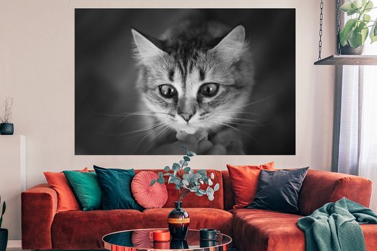 Profil animalier sentant le chat en papier poster noir et blanc