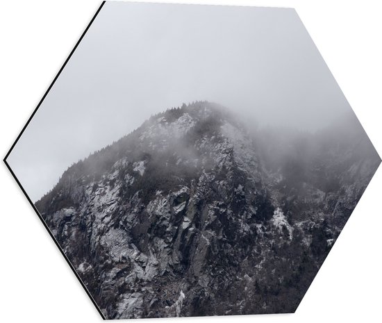 Dibond Hexagon - Hoge Berg met Bomen tussen de Mist - 50x43.5 cm Foto op Hexagon (Met Ophangsysteem)
