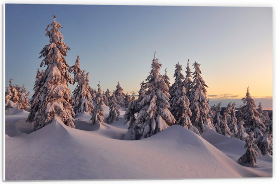 PVC Schuimplaat- Dikke Laag Sneeuw in Open Bos met Bomen - 60x40 cm Foto op PVC Schuimplaat
