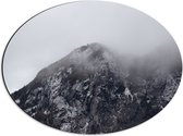 Dibond Ovaal - Hoge Berg met Bomen tussen de Mist - 56x42 cm Foto op Ovaal (Met Ophangsysteem)