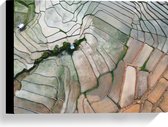 Canvas - Bovenaanzicht van de Rijstvelden van Vietnam - 40x30 cm Foto op Canvas Schilderij (Wanddecoratie op Canvas)