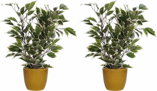 2x stuks groen/witte ficus kunstplant 40 cm met plantenpot okergeel D13.5 en H12.5 cm