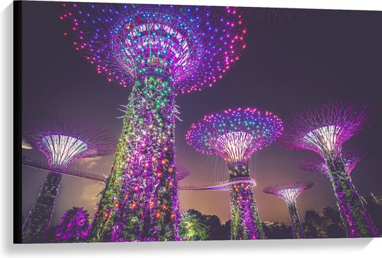 WallClassics - Canvas - Natuurpark in Nacht - Singapore - 90x60 cm Foto op Canvas Schilderij (Wanddecoratie op Canvas)