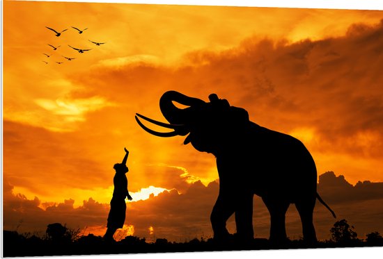 PVC Schuimplaat - Silhouet van Olifant met Persoon en Vogels in Afrika - 120x80 cm Foto op PVC Schuimplaat (Met Ophangsysteem)