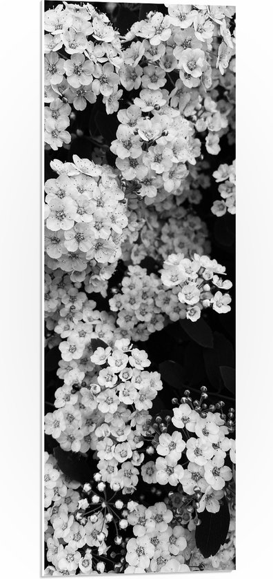 PVC Schuimplaat - Dicht Begroeide Bloemen Struik (Zwart- wit) - 30x90 cm Foto op PVC Schuimplaat (Met Ophangsysteem)