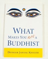 What Makes You Not A Buddhist