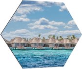 Dibond Hexagon - Luxe Vakantieverblijven op de Zee aan de Maledieven - 70x60.9 cm Foto op Hexagon (Met Ophangsysteem)