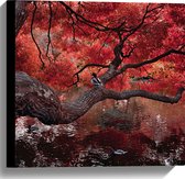 WallClassics - Canvas  - Rode Herfstboom hangend over Water - 40x40 cm Foto op Canvas Schilderij (Wanddecoratie op Canvas)