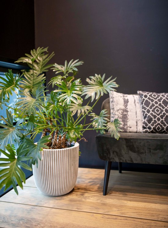 Capi Europe - Bloempot bol Groove NL - 35x34 - Goud - Opening Ø29 - Bloempot voor binnen en buiten - Levenslang garantie - Breukbestendig - 100% Recyclebaar - CO2 Neutraal geproduceerd - KGVGB932